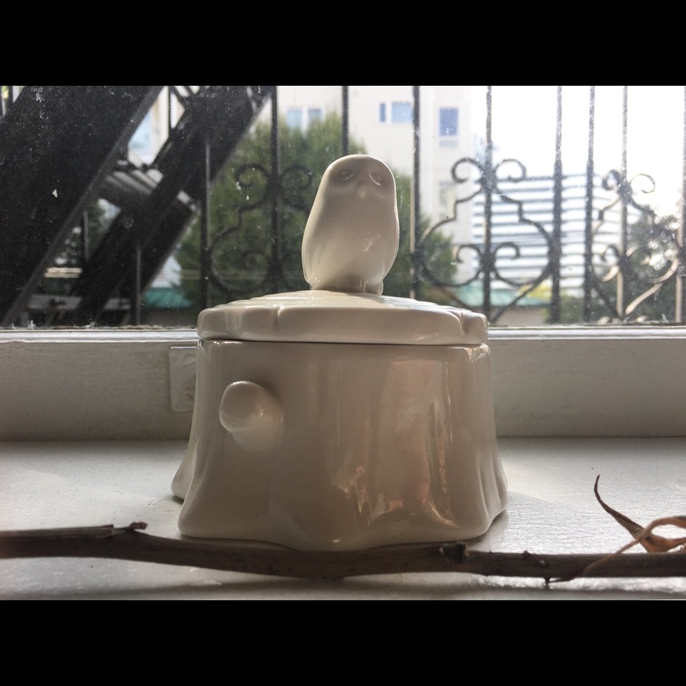 Urban Outfitters Owl Catchall Box